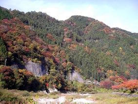 対岸の紅葉