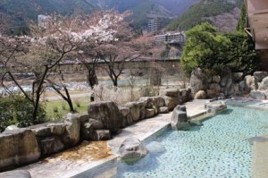 望川館野天風呂桜2014年4月上旬