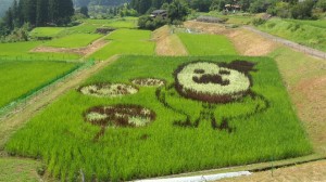 田んぼアート