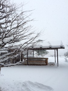 雪の日本庭園