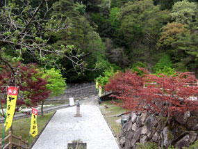 雨情公園（春～夏）2